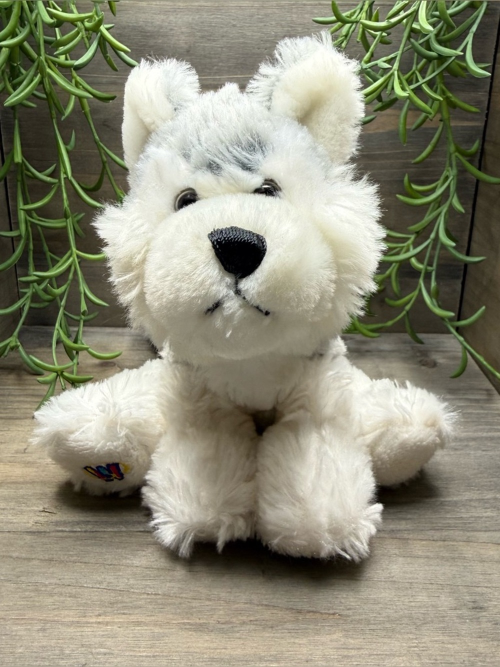 2/$20 Webkinz Lil Husky